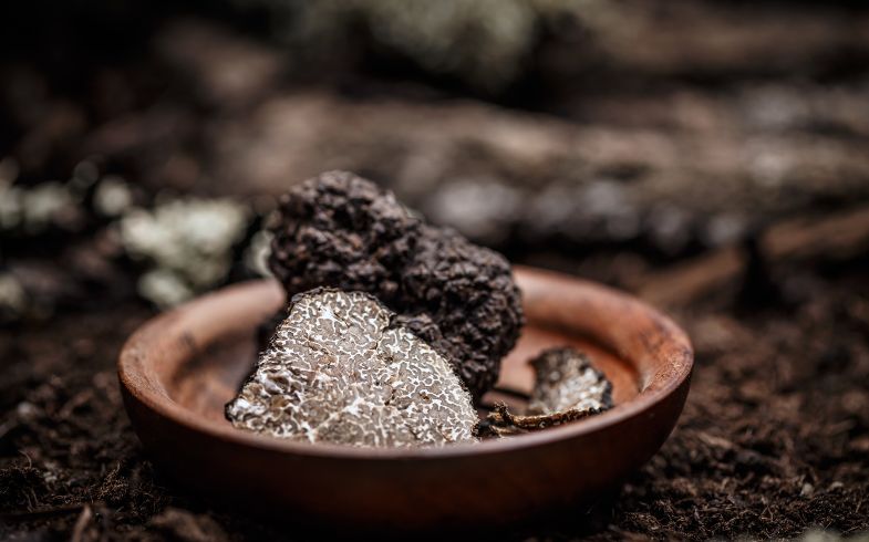 Recetas con trufas